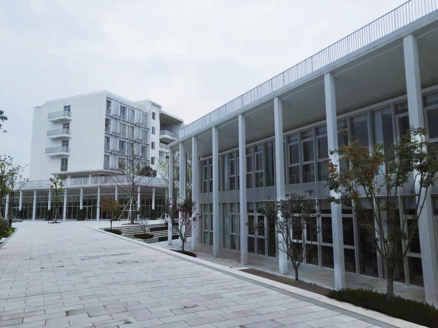 微信圖片_20200107174148.jpg